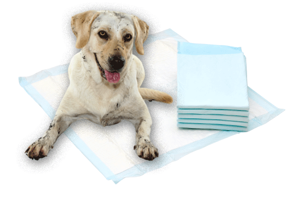 pet protective sheets